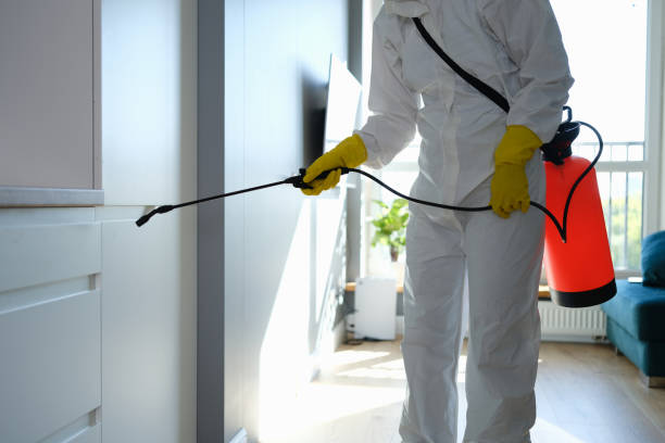 Best Toxic Mold Removal  in Pretty Bayou, FL